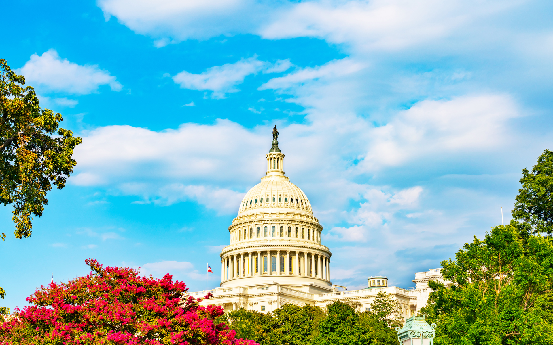 The Senate Action on Health Insurance (IRA) Receives Mostly Positive Industry Reactions